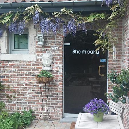 Shamballa B & B/ Logies 代因泽 外观 照片