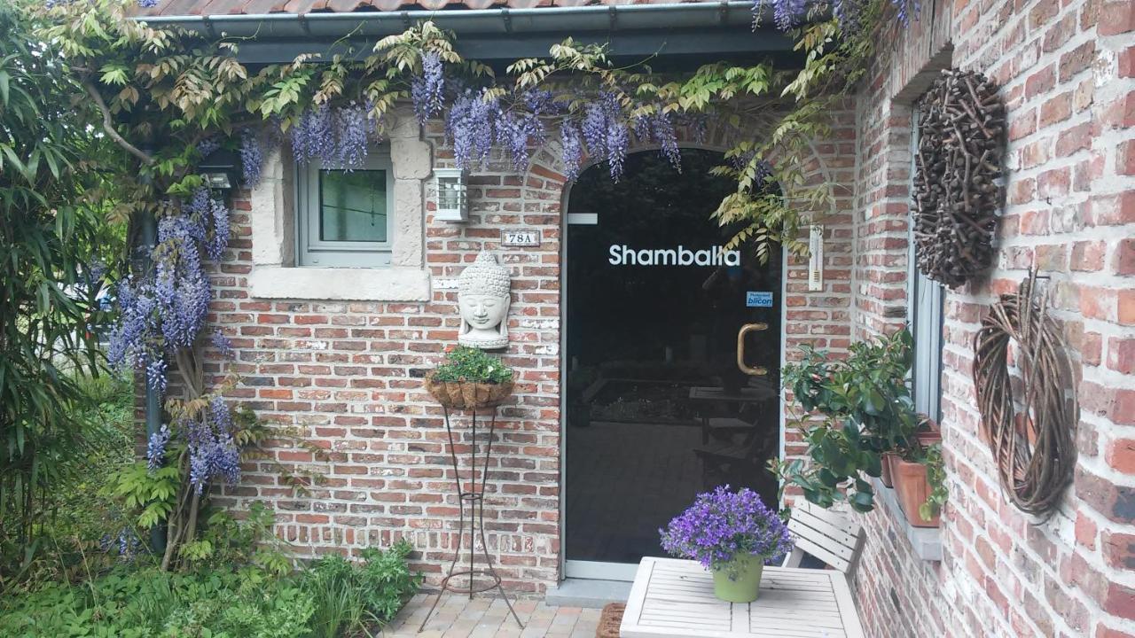 Shamballa B & B/ Logies 代因泽 外观 照片